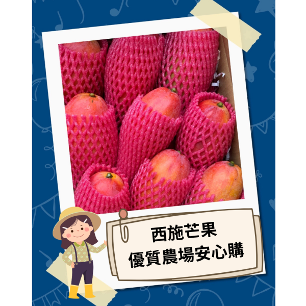 大內高手嚴選西施芒果（10斤裝）：圖片 2